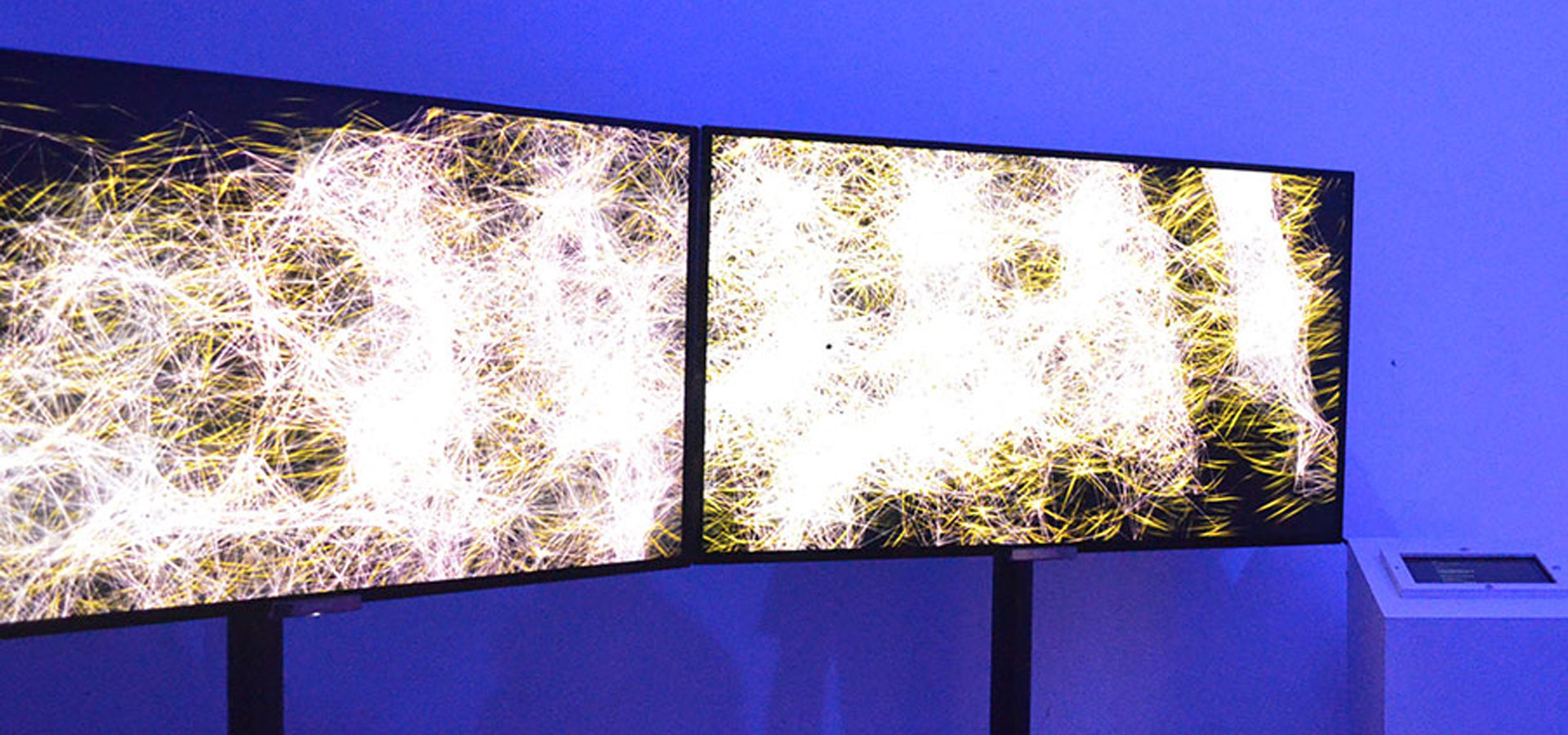 Servicio de alquiler de televisores