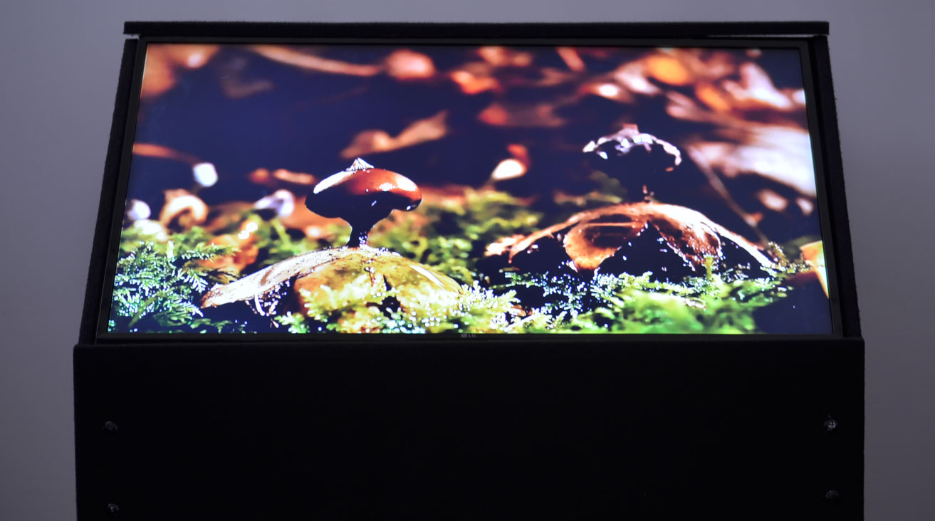 Alquiler de Televisores para eventos